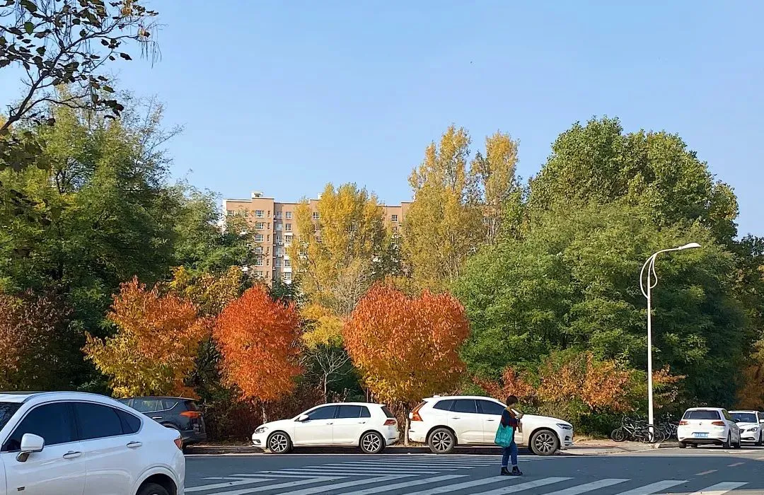 如何制定适合自己的篮球恢复训练计划?_2